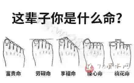 脚相与命运
