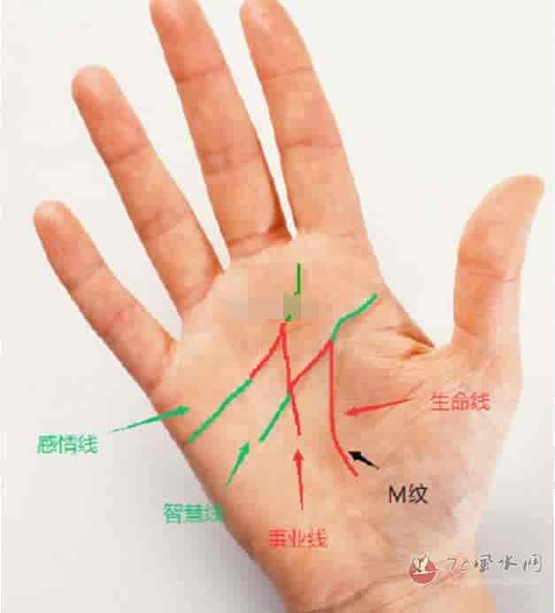 事业线明显深刻升起手相图解