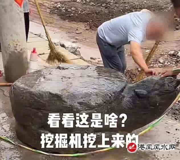 河南一村庄修路竟然挖出大石龟 网友称是一种瑞兽