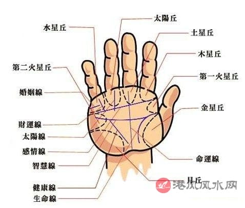 预示你会走好运的手相星纹